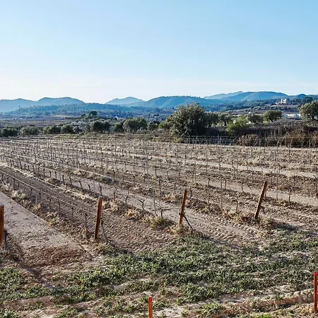 Cal Jepet Del Goncer Grup Cal Jafra Sant Jaume dels Domenys